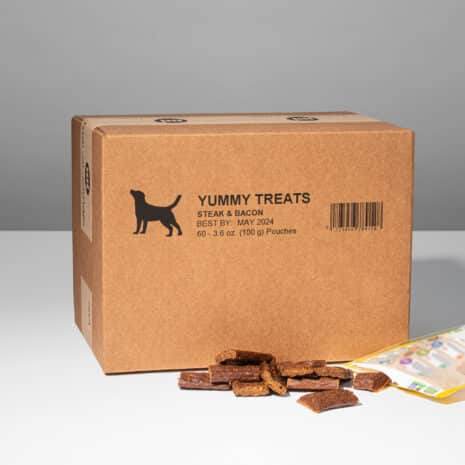 G2021-0402 G2021-0402